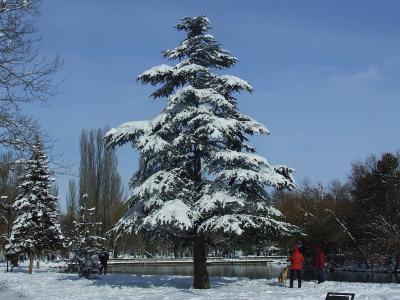 Прикрепленное изображение: p10.jpg